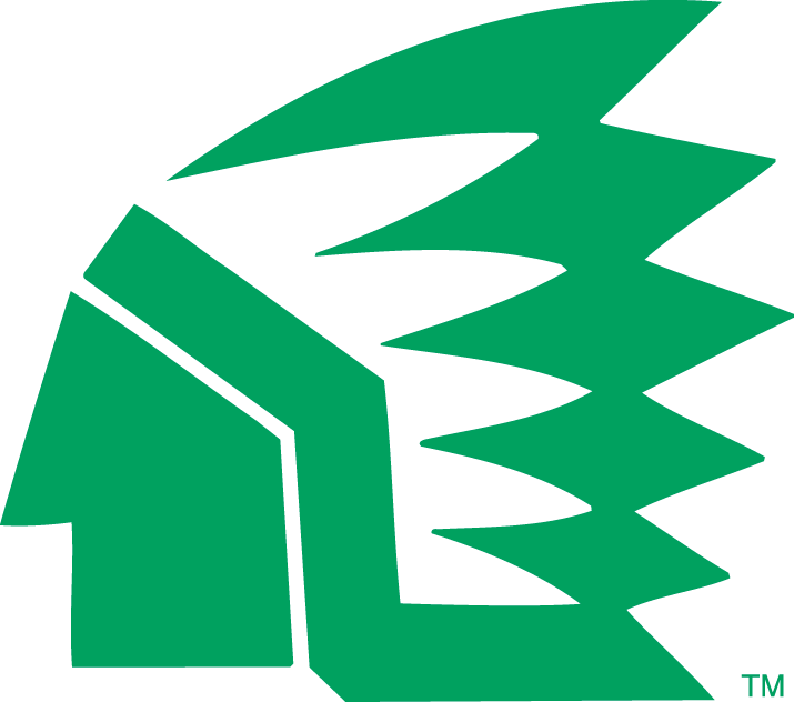 North Dakota Fighting Hawks 1976-1999 Primary Logo iron on transfers for T-shirts